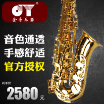 Golden tone saxophone instrument in E-flat E-Flat beginner entry professional examination JYAS-E100G