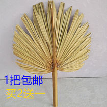 Fan Da Pu fan Plantain fan Ji Gong fan Kwai fan Old man old-fashioned handmade Pu grass woven summer rice dumpling leaf fan Household