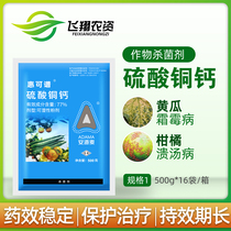 Adama Huikopu 77%copper sulfate calcium citrus fruit tree ulcer disease Cucumber downy mildew Pesticide fungicide