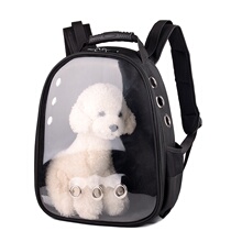 Transparent bag retro space cat packaging cat outer bag cute canvas cage space Bag tote bag