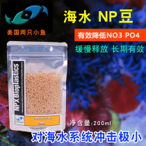 Two small fish in the United States Dutch beans NP beans seawater raw fish tanks to remove NO3 PO4 nutrient-reducing materials