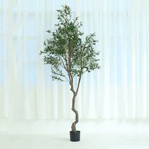 ins wind simulation 2 4 meters olive tree landing potted plant window decoration bonsai landing olive leaves