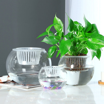 Hydroponic plants Glass bottle Hydroponic green dill vase Flower pot Large glass ball type water fish tank utensils container