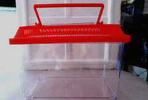 The Large Number of the Transport Box