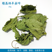 (NOYA) Dried mulberry leaf hay pet rabbit hamster guinea pig chinchilla pasture mulberry leaf 20g