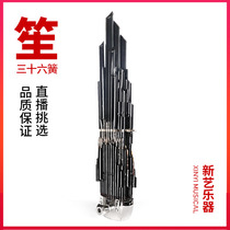 Xinyi 36 Reed plus key Square Sheng instrument Daquan exquisite amplification professional performance live selection