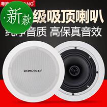 2021ylr8 ceiling horn ceiling ceiling wall-mounted speaker Shop restaurant supermarket home living room bedroom