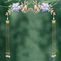 Ancient costume headdress tassel hairclip butterfly hair accessories Hanfu ancient style girl pair clip stride hairpin Princess Super fairy