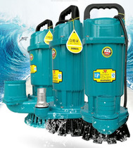 Household deep well pump 220V high head two-phase cast iron deep well submersible pump agricultural irrigation pumping motor Orchard