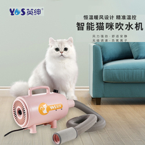 English Gentry cat blower silent bath blow dry negative ion pet hair dryer long short hairy cat special drying box