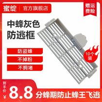 Chinese Bee anti-escape frame plastic bee anti-theft device multi-function Queen Queen anti-escape device anti-bee theft beekeeping in beekeeping