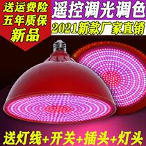 Braised lamp fresh meat lamp red chandelier cooked food pork lamp meat stall braised vegetable hair salon deli cabinet vegetable bread beauty