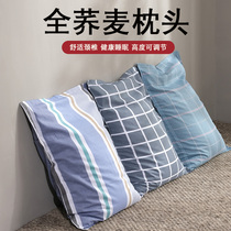 Buckwheat leather pillow single cervical sleep Home adult double Joe wheat shell hard adult male summer cool pillow core