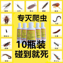 Wugong insect repellent powder centipede indoor bug household scoron lice supplies to kill bed pyrethroids