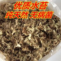 Natural dry water tender Orchid Butterfly Orchid nutritional dry moss flower general fertilizer iron stone denum planting medium