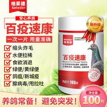 Gleride Pigeons Lathin Water Poo Medication Green Poo Parrot Letter Dove Intestinal Conditioning Supplies Common Sick Dove Medicine Grand Total