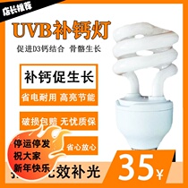 Reptilian UVB10 0 calcium supplement lamp energy-saving lamp tortoise feeding box lizard mane lion calcium supplement lamp fleshy plant