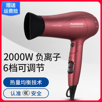Feike electric hair dryer household high-power negative ion hair care hotel hair salon Net red wind tube FS6618 6218
