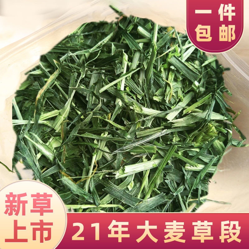 2022 new barley grass segment 500g rabbit chinchilla guinea pig guinea pig guinea pig hamster hay feed grain