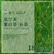 B C GOLF turf long grass swing practice mat grass BC-8507 green grass