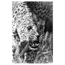 Huang Zhenhuang out of the formation paper new pen drawings have been mounted with a group photo