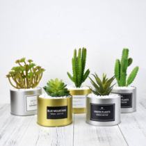 ins Korean style simulation cactus column tin can fleshy aloe small potted plant industrial wind photography swing background props