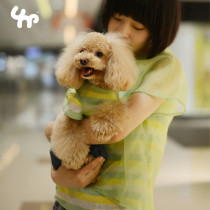Unpet peppy dog clothes striped knit T-shirt Snow spinning outerwear short sleeve shirt vest two pet pro-subs