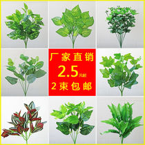 Simulation fake green plant fern plant Persian grass wedding celebration floral background wall flower arrangement decoration leaves green robo gold money grass