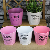 Nordic creative green plant Green dill fleshy flower pot Flower Restaurant bar decoration Desktop storage Balcony flower iron bucket