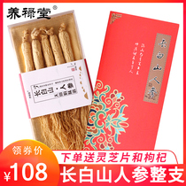 Yanglu Tang Changbai Mountain wild ginseng Fresh dried ginseng ready-to-eat 80g raw sun ginseng can be powdered soaked wine ginseng whole branches