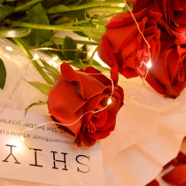 Bedroom decorative lights LED colored lights Flashing lights string lights starry outdoor USB copper wire lights Bedroom romantic waterproof colored lights