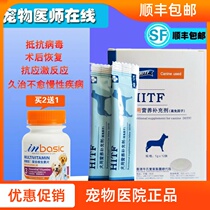 High immunity factor dog pet dog postoperative recovery anti-virus enhanced immunity resistance canine distemper anti-stress