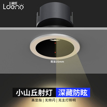 No Main Lamp Lighting Deep Anti-glare Spotlight COB Anti-glare Led Embedded Days Flower Lights Home Lamp Net Red Living Room