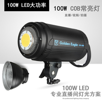 Golden Eagle LED100W photography camera camera film and television live light anchor live room fill light constant bright sun light