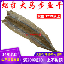 More than 1719 Big horse walking fish Dry 250 gr Barbecue Frying Toasted Needles Fish Rod Fish Seafood Fish Mountain Leiches Sea