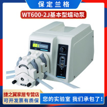 Paulinger WT600-2J Laboratory Precision Peristaltic Pump Constant Flow Pump Fluid Transfer Pump Can Multi-Pump Head Series