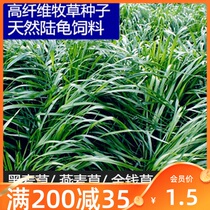 Ryegrass Plantain Alfalfa Clover Dandelion Seed Chicory Natural Tortoise feed
