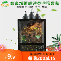 Chameleon green Jue cage cage set lizard feeding box complete set of high crown colorful breeding high box