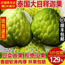 Thailand big eyes pineapple Sakya fruit 5kg fresh Annona Buddha head fruit tropical fruit big fruit pregnant women 10