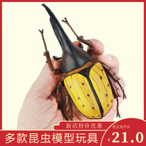 Simulation insect animal model toy bee halberd big pocket insect Dragonfly Tien Niu Zhizhen Childrens gifts for boys and girls