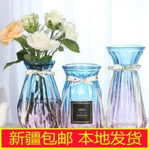 Xinjiang Gradient glass vase transparent water raising arrangement living room flower bottle vase Nordic simple vase