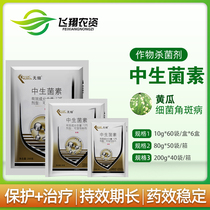 Kaili Bio-non-fine 12% Mesozoan Chinese cabbage Cucumber Horn Spot Disease Green Soft Rot Pesticide Fungicides