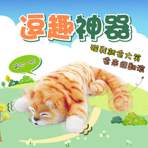 Rolling cat rolling cat simulation laugh cat funny Net red with electric plush doll childrens toys