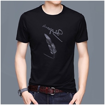 Short sleeve T-shirt mens 2020 Summer new trend mercerized cotton Ice Silk round collar body shirt print loose Tide brand mens