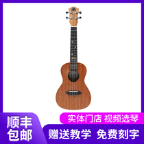 Adela Meow C Meow Miao ukulele Beginner student Female adult starter 21 23 26 inch ukulele