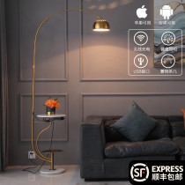 Nordic style ins floor lamp Living room sofa extremely simple fishing lamp Bedroom bedside net black tea several vertical table lamps