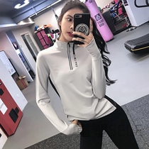 Half Zipper Fitness Top Women Quick Dry Loose Running Sports T-shirt Slim Net Red Autumn and Winter Elastic Yoga Long Sleeve