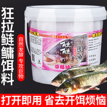 Lotus flower floating fishing silver carp Bait Acid Smelly hand rod Wild fishing Bait Bucket Loaded Strawberry Taste Silver Carp Special Lotus Hook Summer