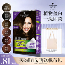 Schwarzman Yoran bubble hair dye purification plant 2021 popular black tea color white hair cream at home