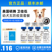 Pfizer Weijia 5 Vaccine Rabies Vaccine Dog with Puppy Weijia Pet Dog Quadruple Vaccine Package